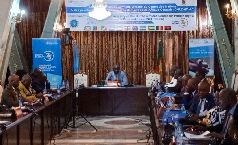Les Participants adoptent  le projet de D&eacute;claration de Yaound&eacute;